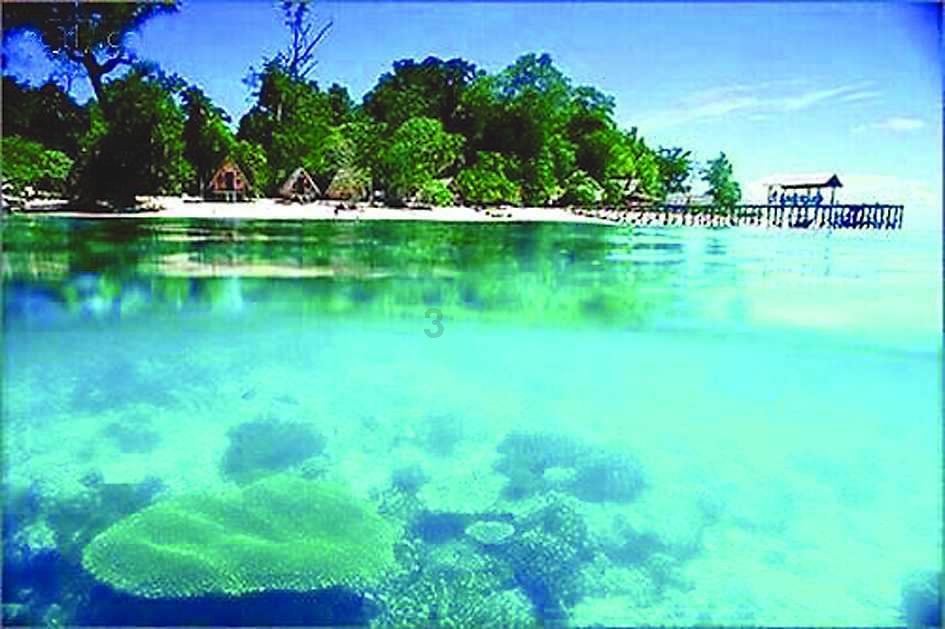 海归“银川娃”搏浪数字大潮